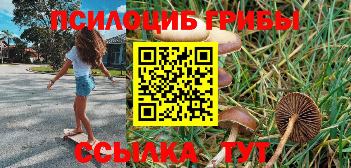 Галлюциногенные грибы MAGIC MUSHROOMS Пыть-Ях